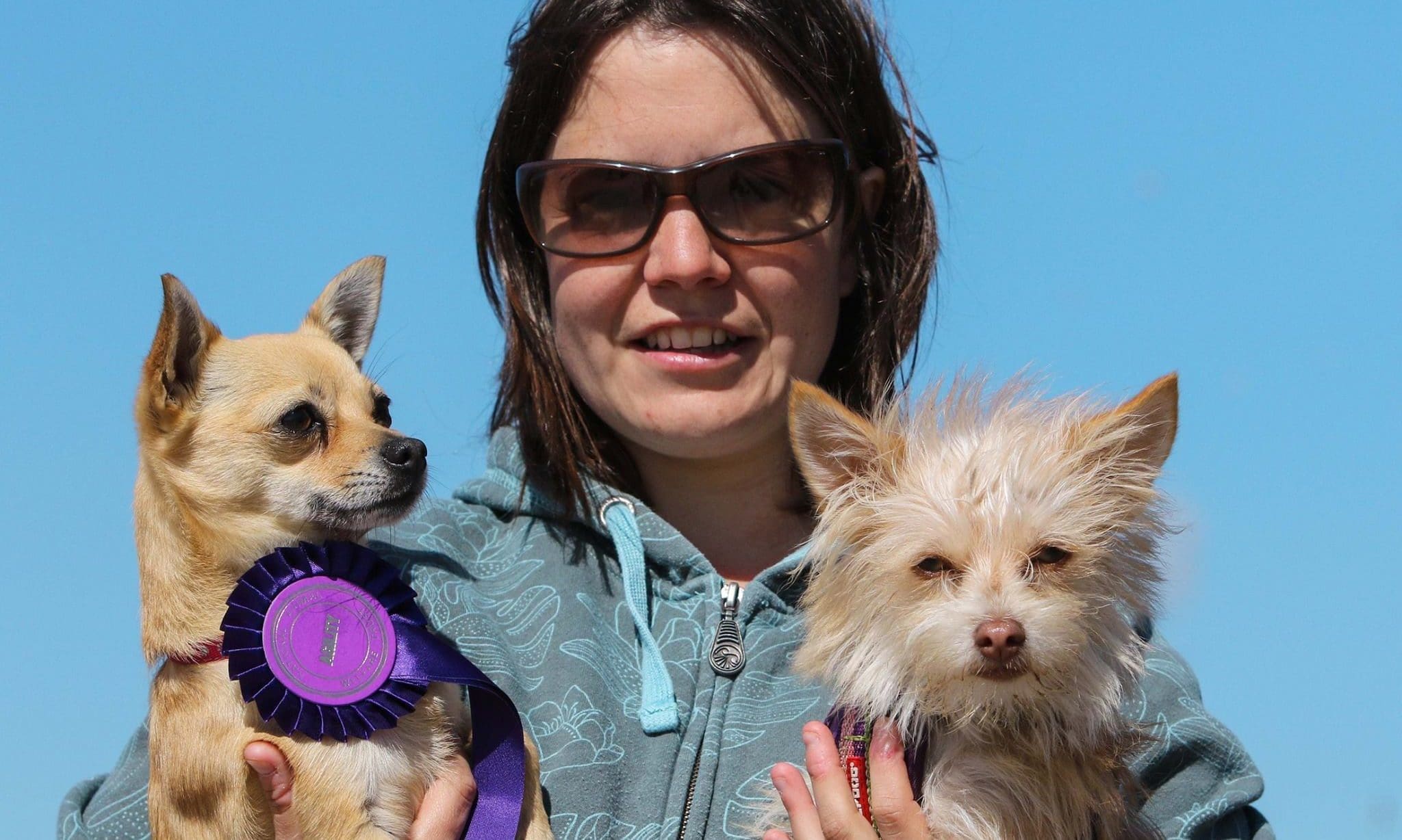National Pet Month – how can you help?