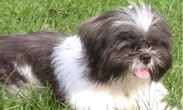 Alabama Rot claims Manchester victim