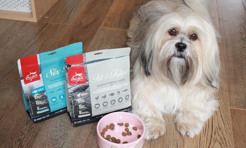 Orijen announces new brand ambassador