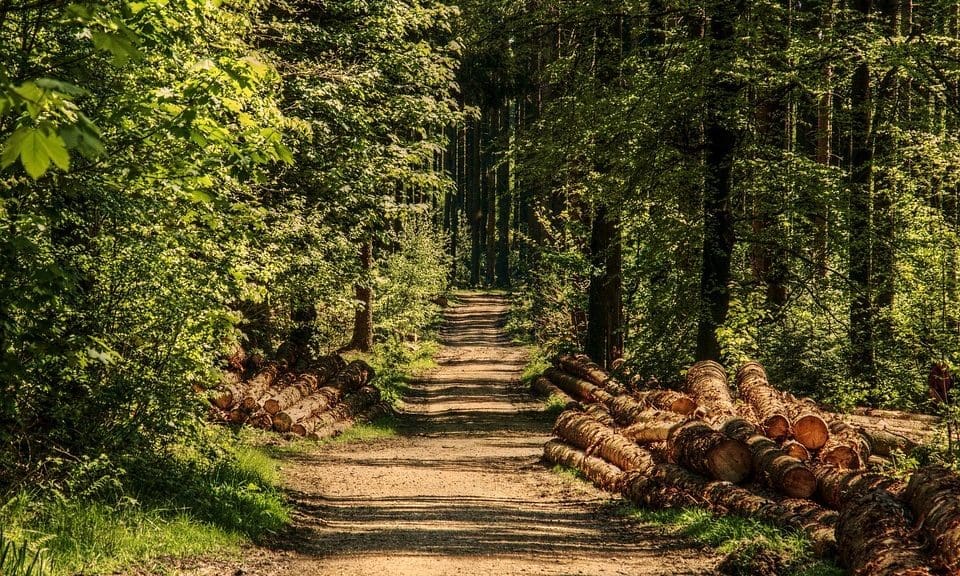 BRC calls on government to ‘accelerate use’ of green goods vehicles