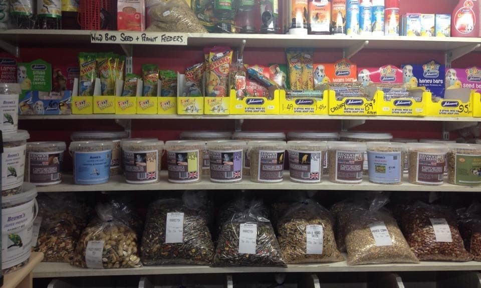 46-year-old independent pet shop closes blaming gentrification