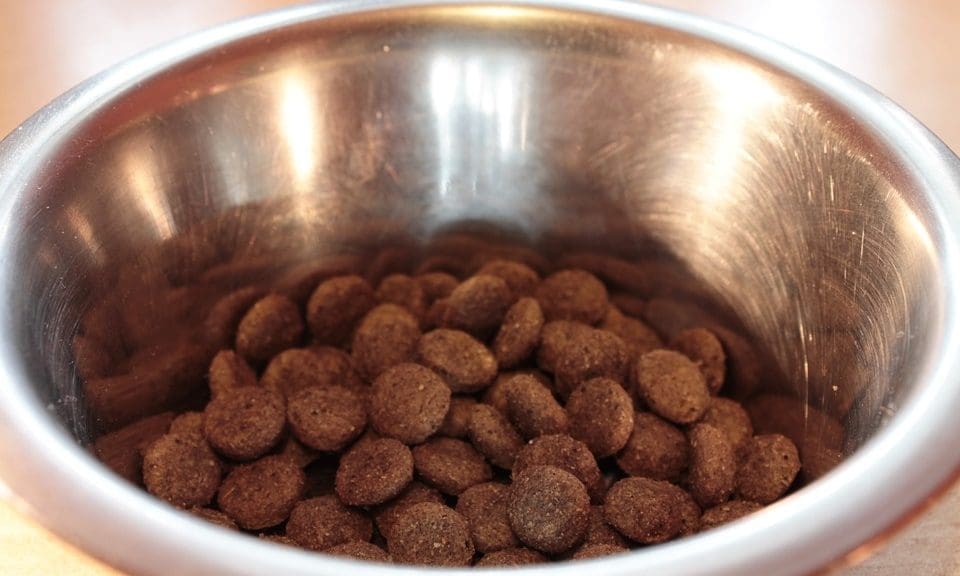Freshpet tricks children into eating pet food for advert