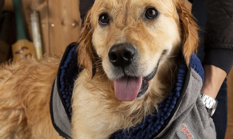 Scruffs to enhance Noodle Drying collection this autumn