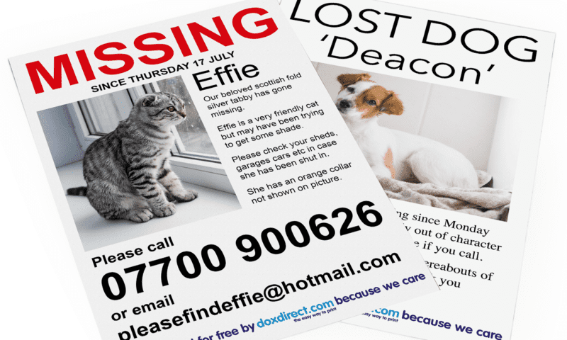 Printing company offers free posters for missing pets