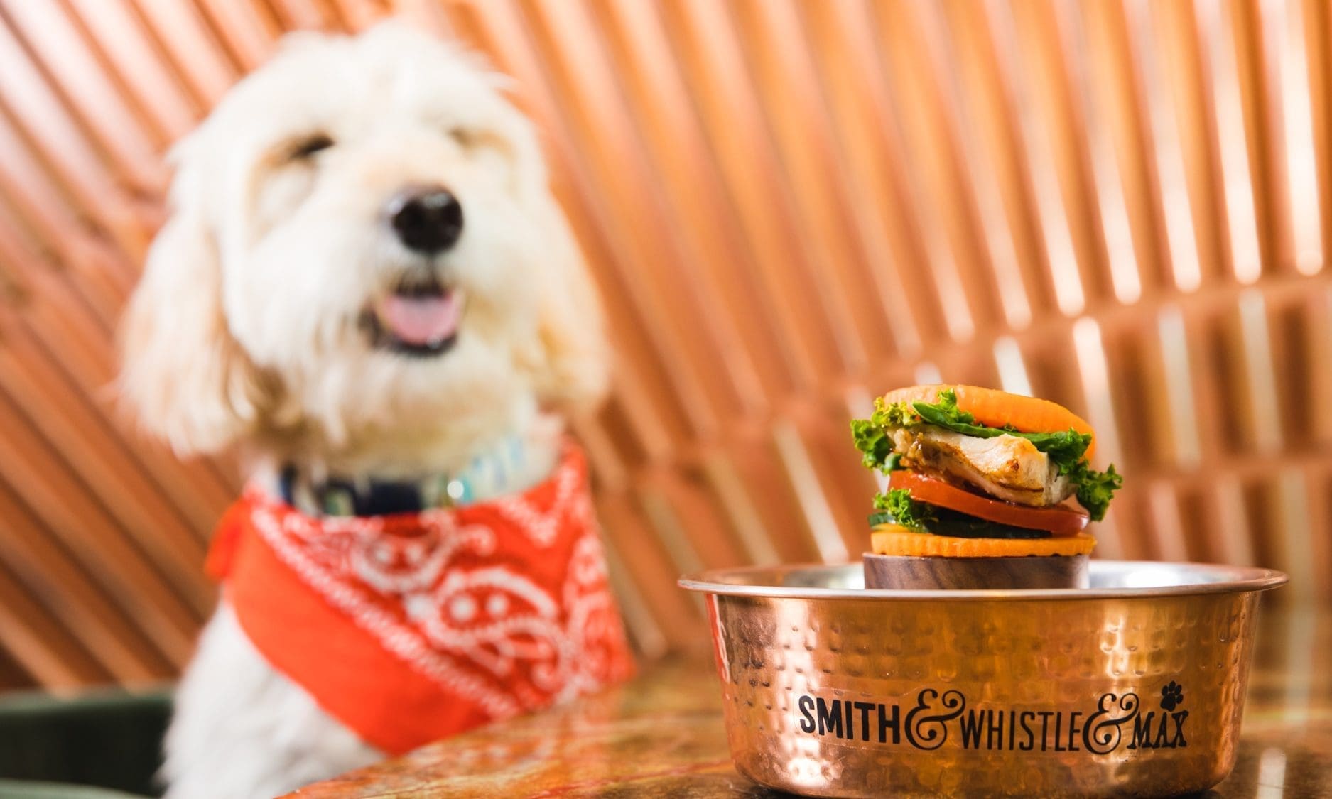 Restaurant offers free ‘Quarter Hounder’ to dogs