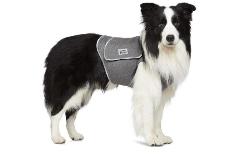 Interpet becomes exclusive UK distributor of Comfort Zone Calming Vests