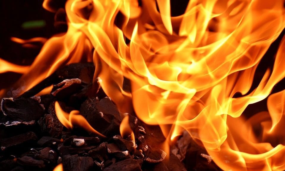 Animals die in pet shop blaze