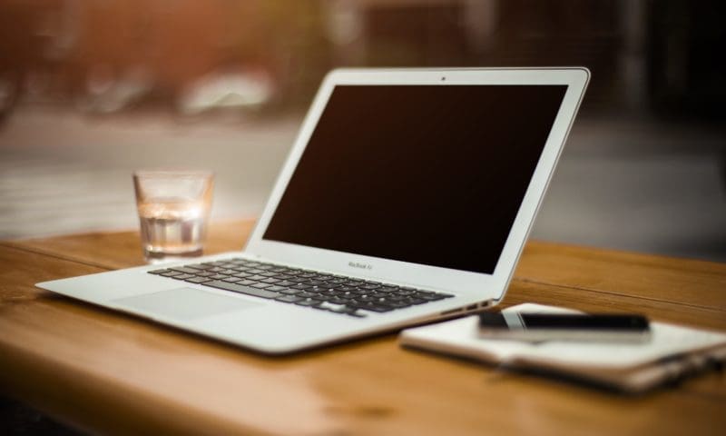 Regulating the sale of pets online