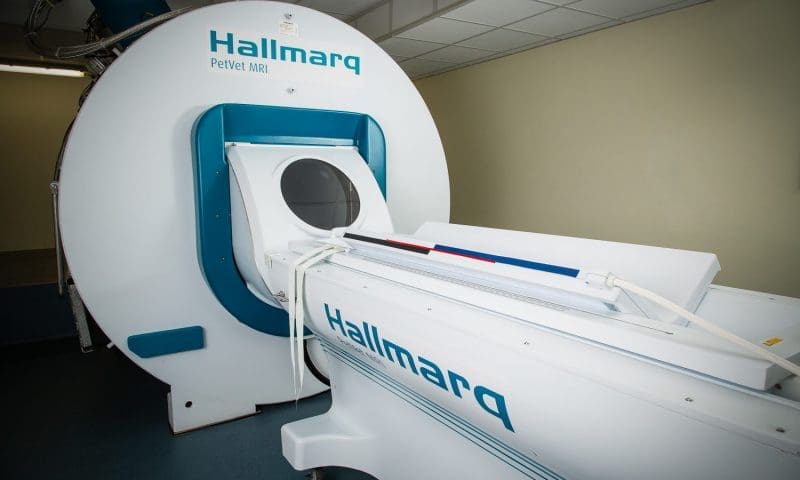August Equity backs management buyout of Hallmarq Veterinary Imaging