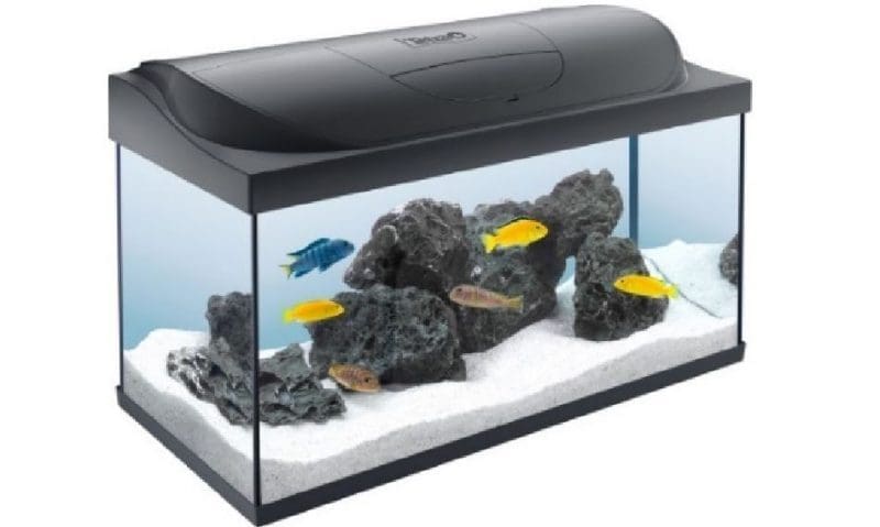 Tetra adds 105L aquarium to Starter Line range