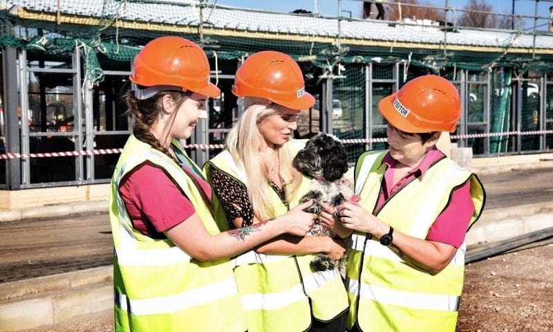 Building work takes shape at new pet hospital