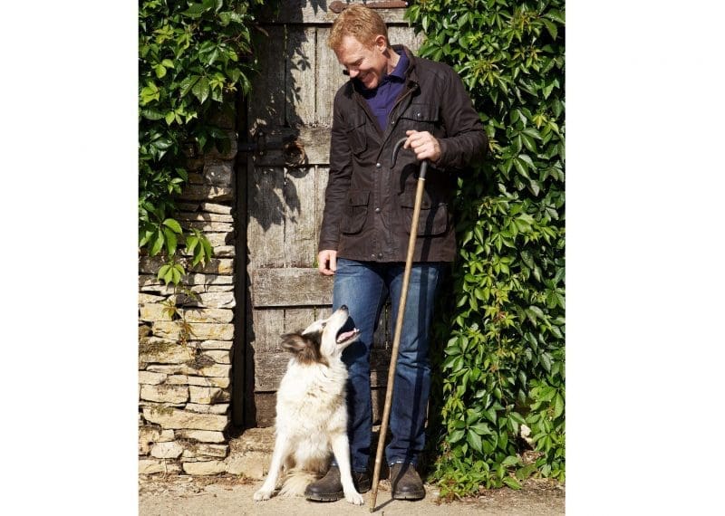 Only 42% of owners walk their dogs every day