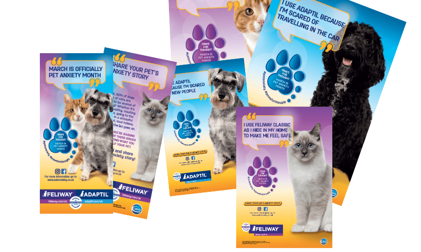 Adaptil and Feliway launch ‘Pet Anxiety Month’ in March