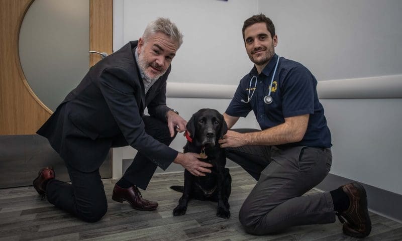 Warning as dog contracts ‘rare’ disease from slugs and snails