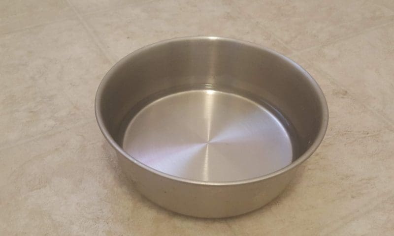 Paws.com launches dog food checker to ‘revolutionise’ industry