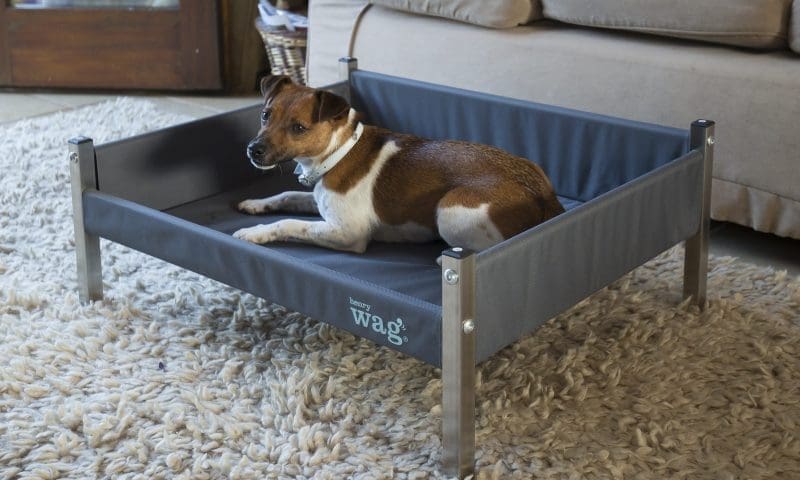 Henry Wag prepares for US expansion