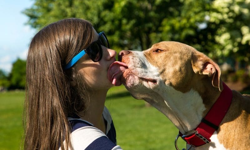 Treating pets like humans ‘could be life-threatening’