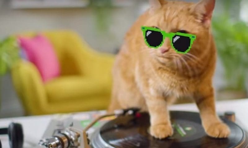 Pets at Home creates pet rap video for new subscription service