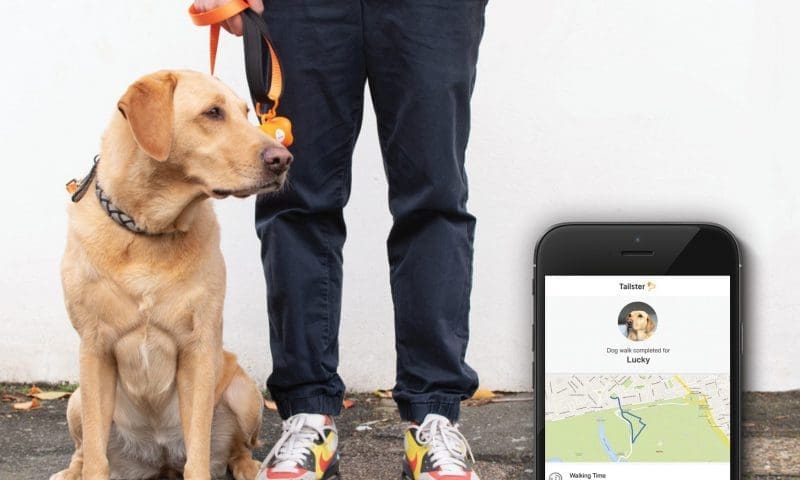 Pets at Home invests in dog-walking and pet-sitting service