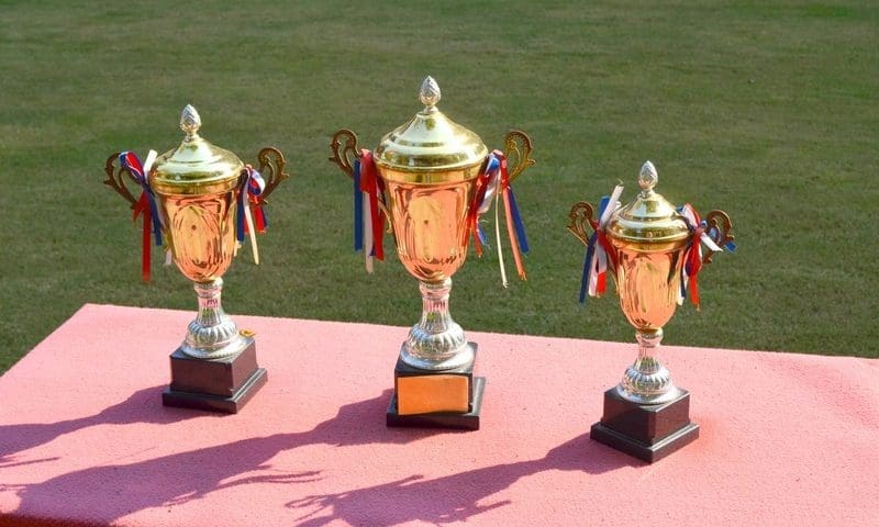 Two new awards announced for PetQuip awards