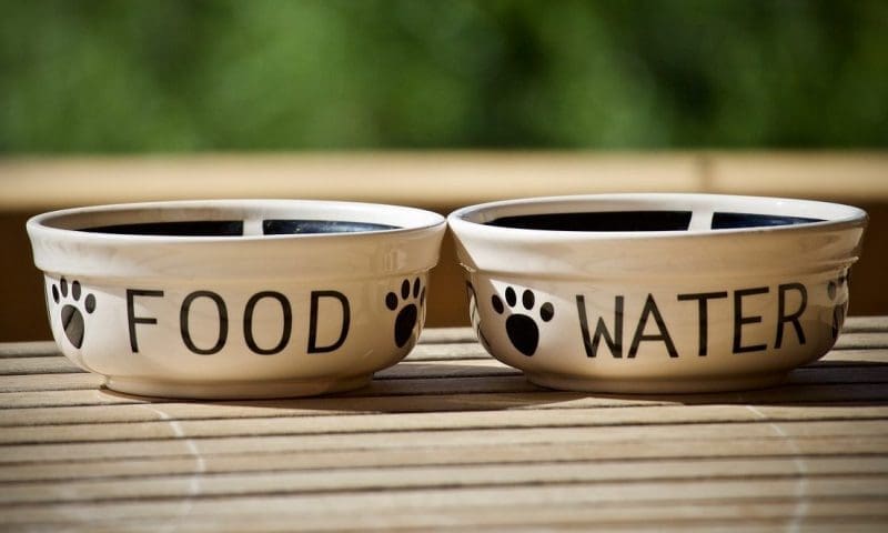 Su-Bridge Pet Supplies partners with Animonda