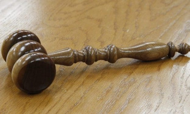 RCVS suspends Leicester vet for kicking and stamping on dog