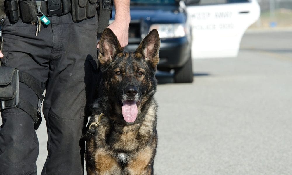 Royal Canin supports BCH police dog unit