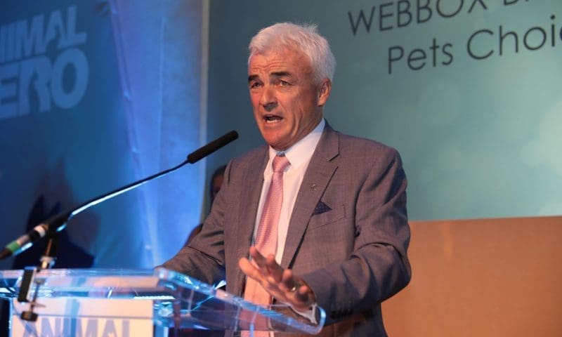 Webbox signs up as official partner to The Mirror’s Animal Hero Awards