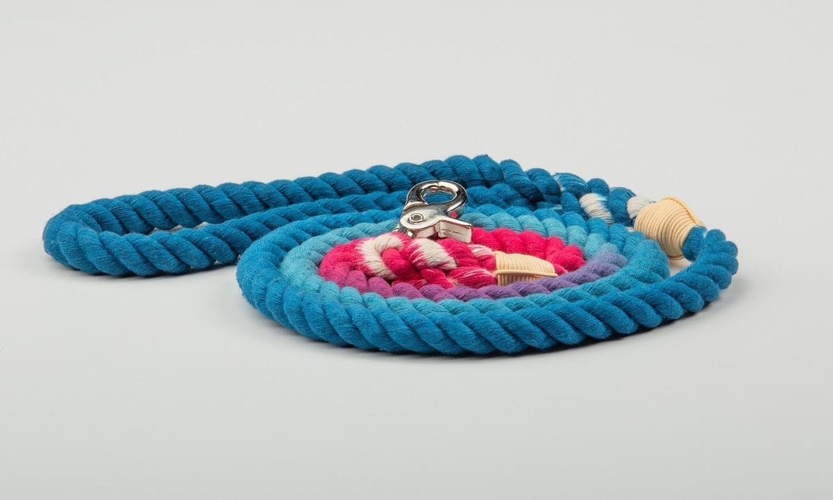 Collared Creatures launches new Ombre Dip Dyed dog leads