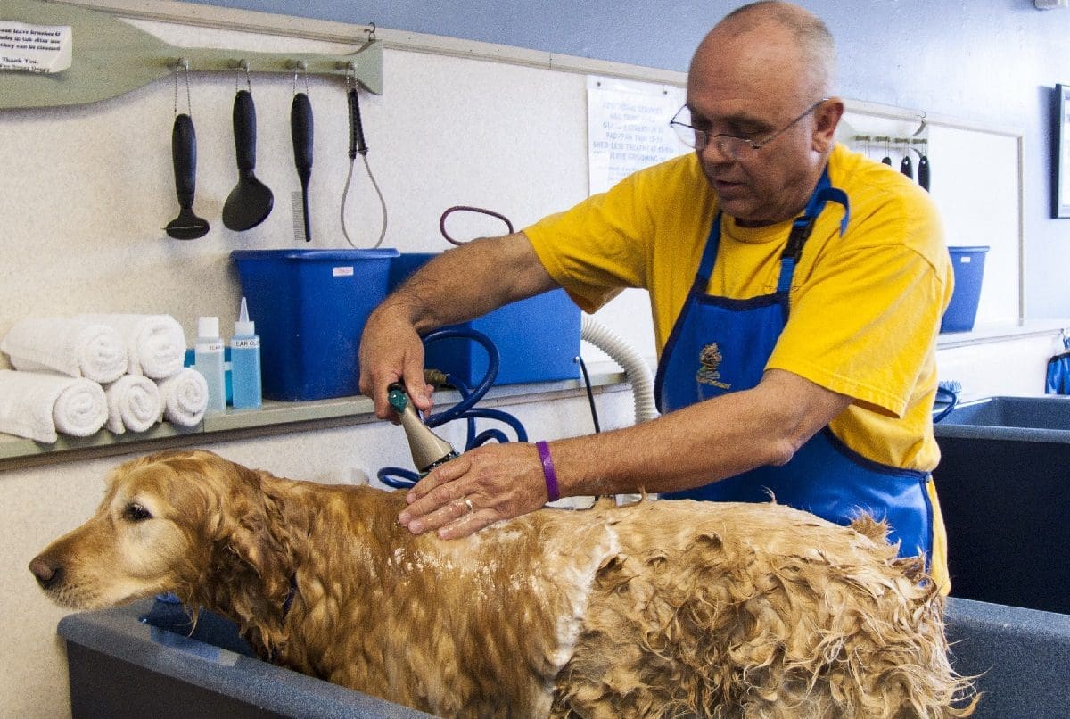 Kinkind launches new plastic-free dog shampoo bar