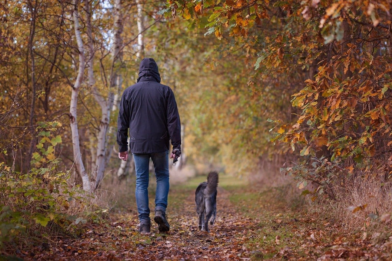 Doodlebone launches new partnership with Manypets