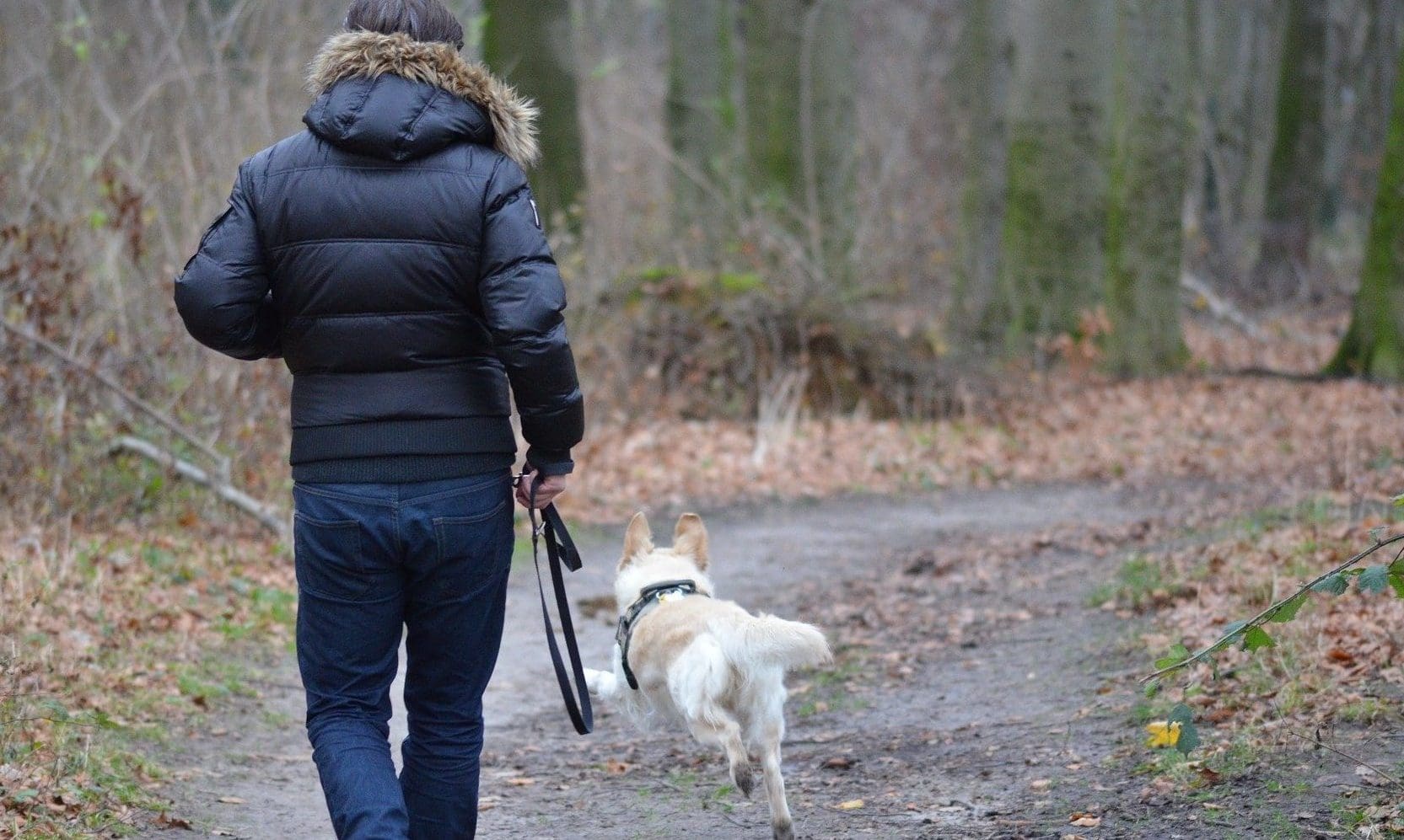The Kennel Club and Weatherbys launch CombiBreed all-in-one tests