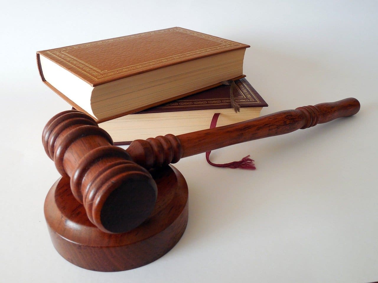 Government supports ‘tougher’ sentencing for animal abusers