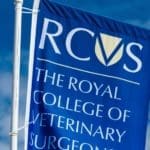 RCVS pushes back on removal of regulatory abilities