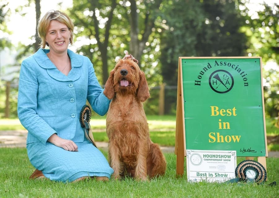 Houndshow 2020 cancelled amid pandemic