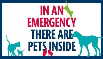 RSPCA urges owners to make pet care plan
