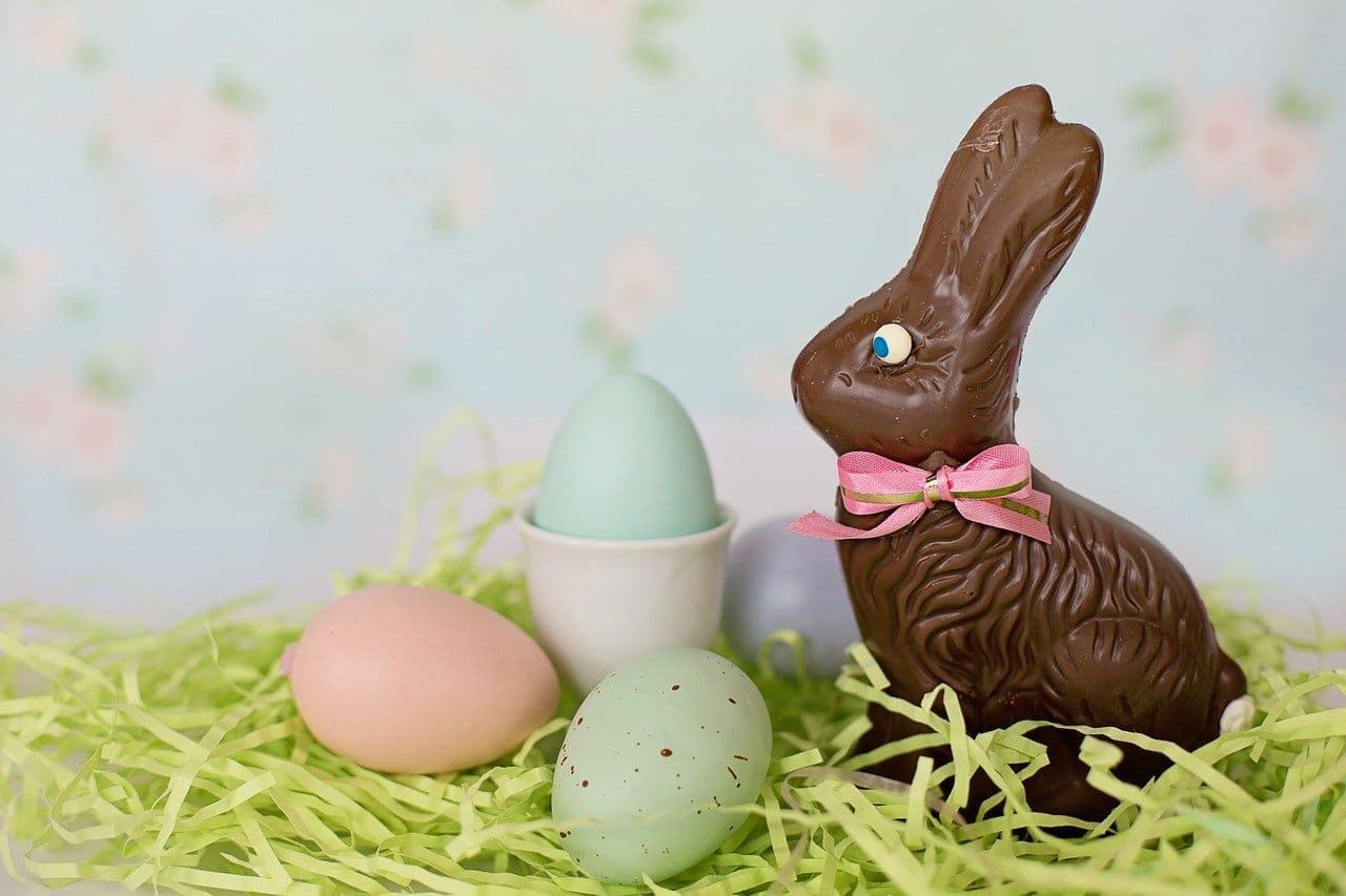 Keep chocolate away from pets this Easter, urges BVA