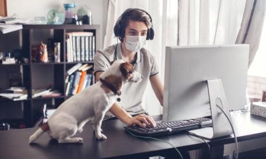 Enjoying a pet quarantine with your animals