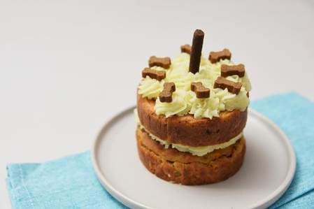 Battersea launches online baking class for pet owners