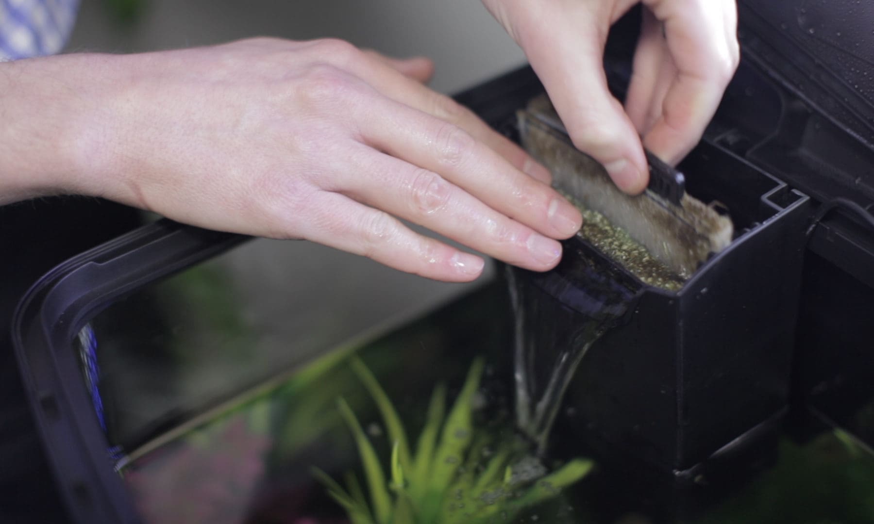 Interpet launches free diagnostic tool to help aquarium owners at home