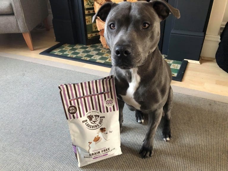 Laughing Dog raises money for charity