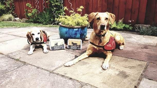 Natural Instinct celebrates Dog A.I.D partnership