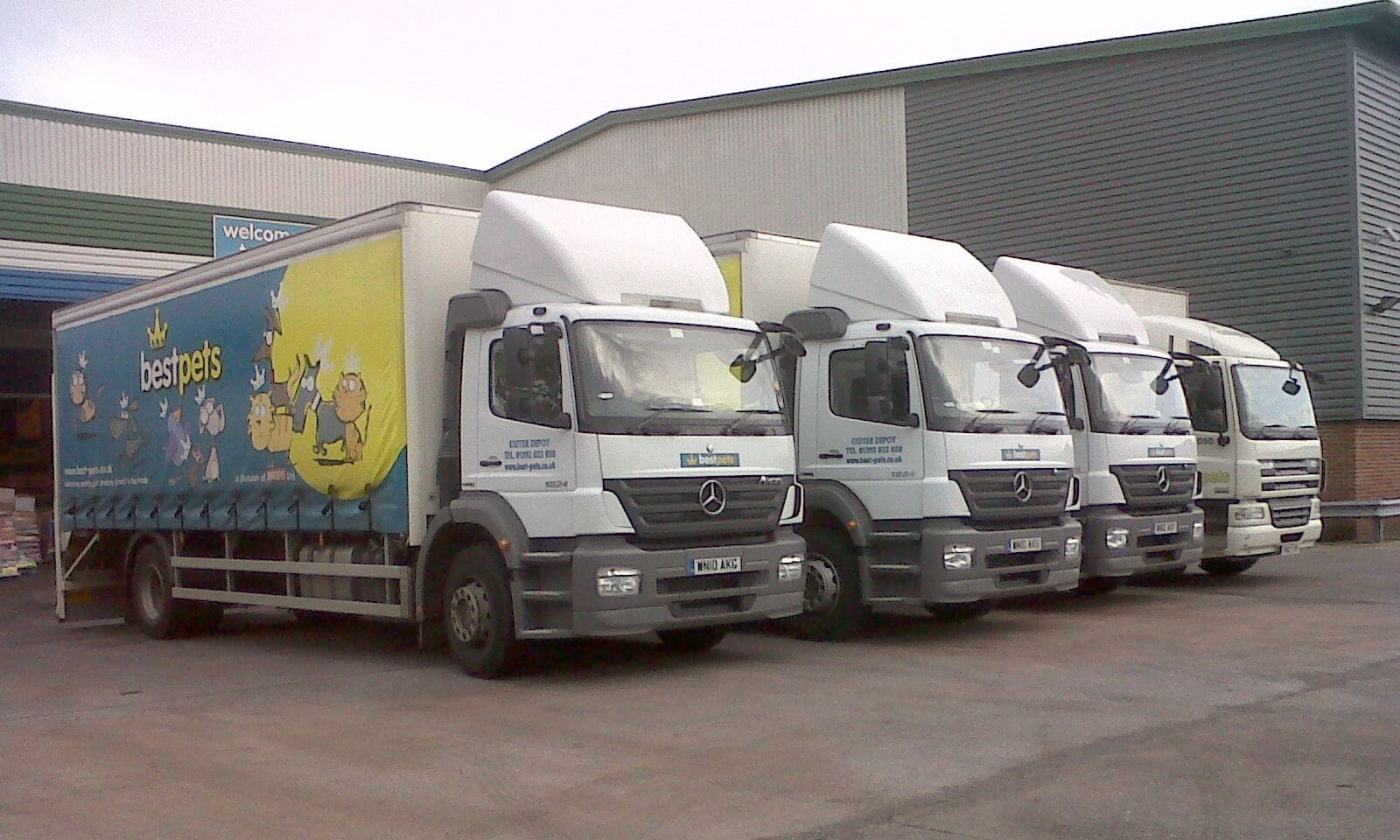 Bestpets named ‘wholesaler of the year’