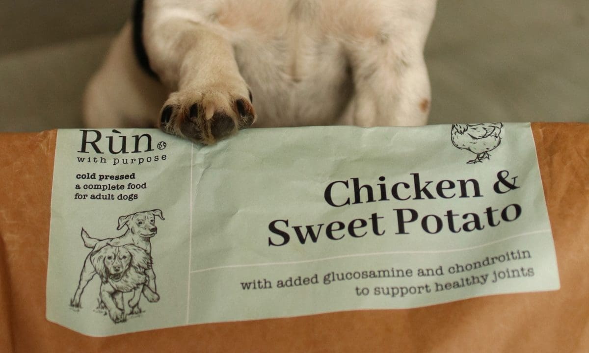 Rùn launches new cold-pressed dog food