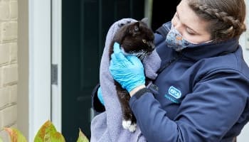 RSPCA braces for ‘toughest Christmas yet’