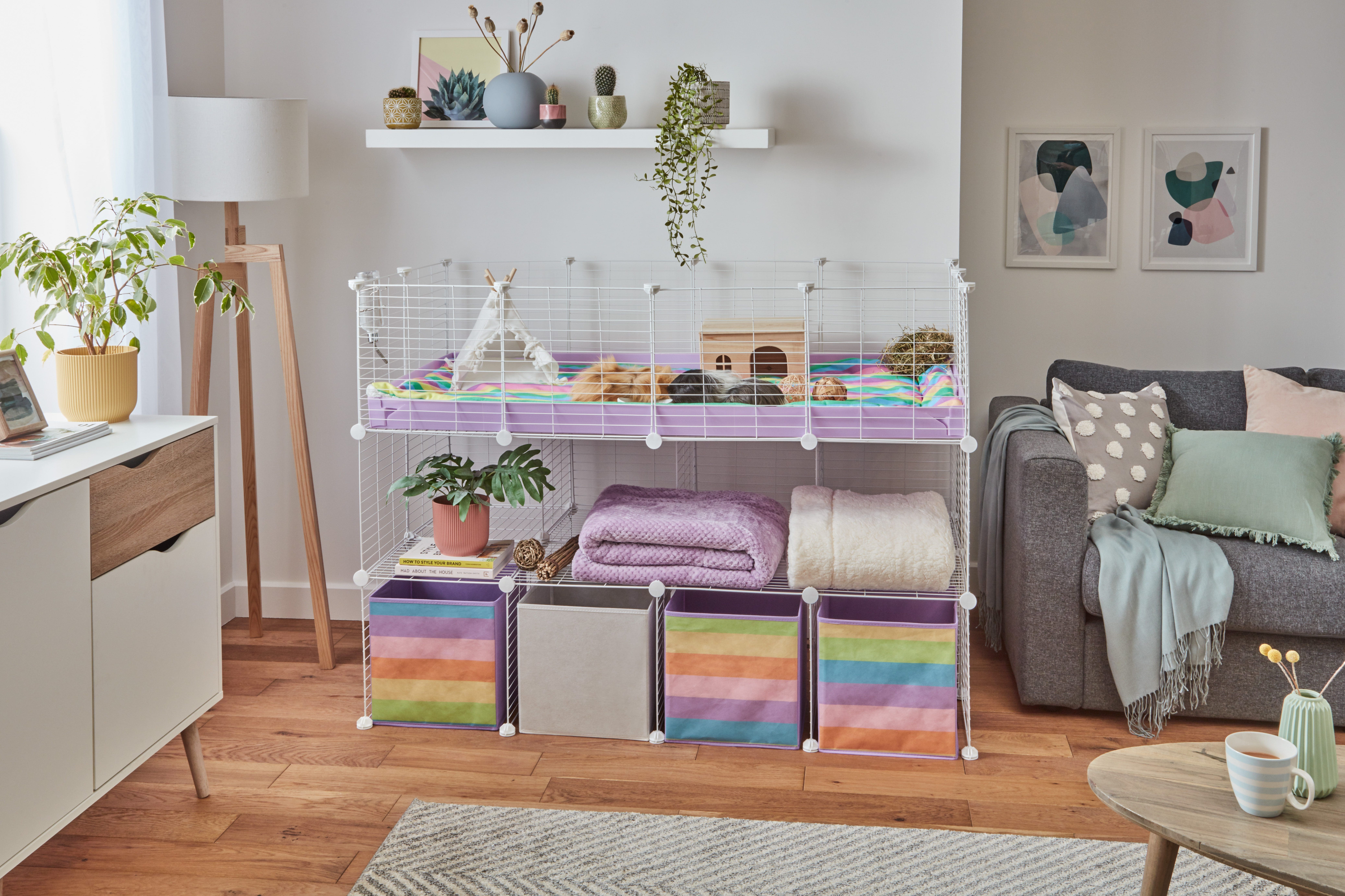 Kavee expands guinea pig cage range