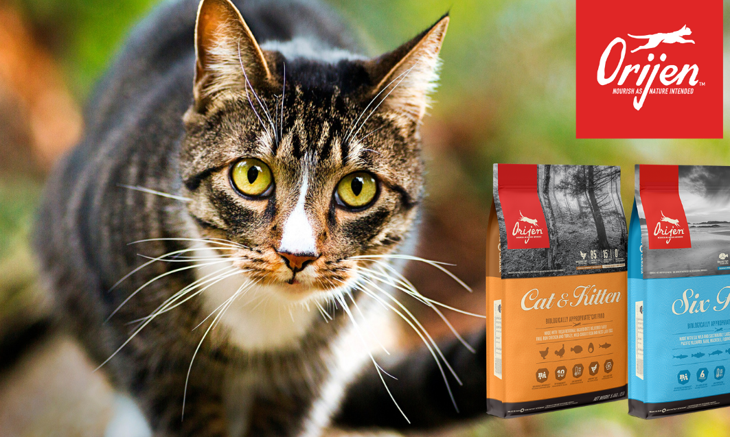 ORIJEN Cat Foods: Nourish as nature intended