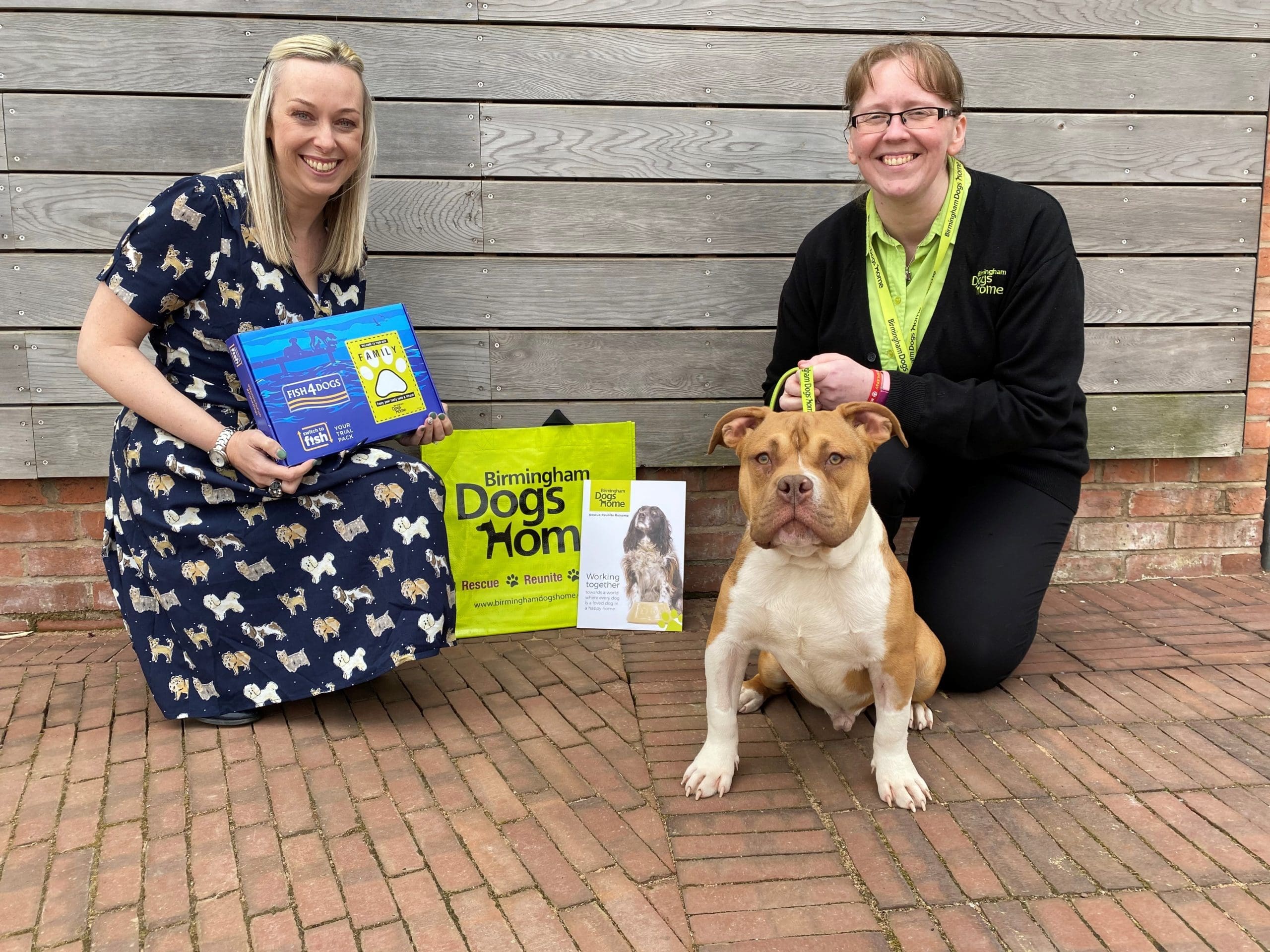 Fish4Pets launches new programme with Birmingham Dogs Home