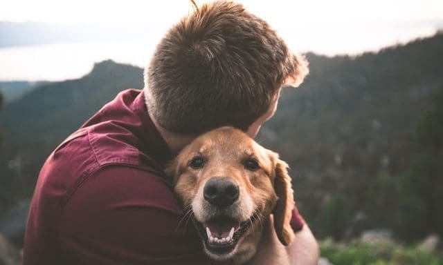 Kennel Club launches post-lockdown guide for pet owners