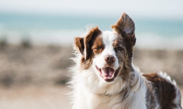 Edgar and Cooper launches refill model
